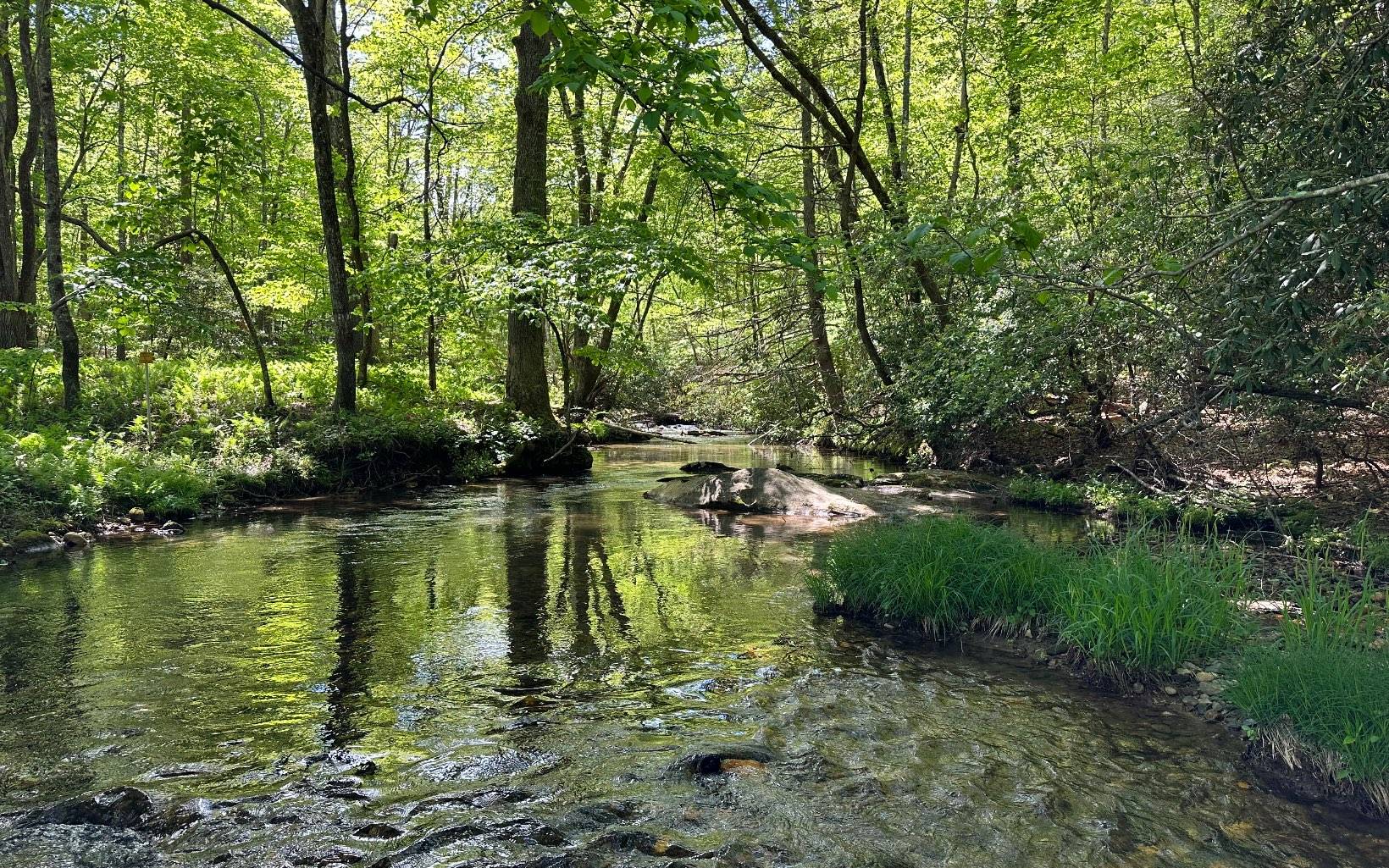 Cherry Log, GA 30522,0 Big Creek Road