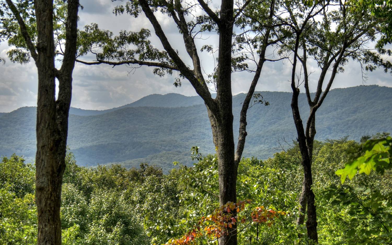 Cherry Log, GA 30522,107 Little Bushy Head Road