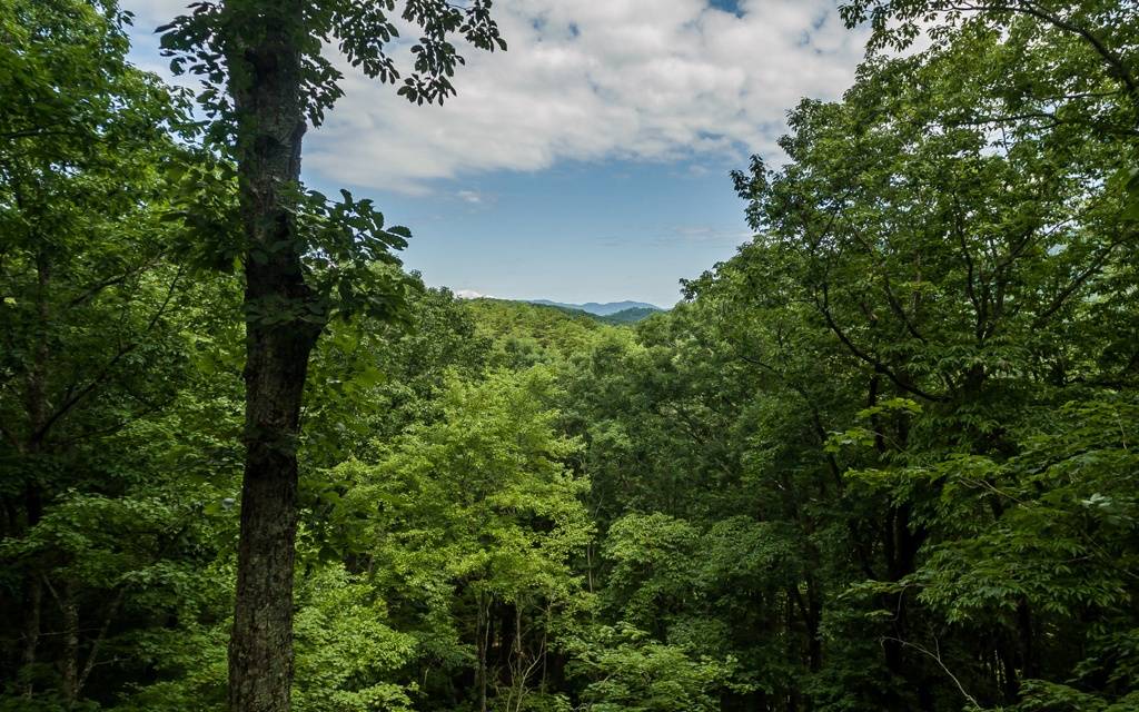 East Ellijay, GA 30536,75 Valley View Road