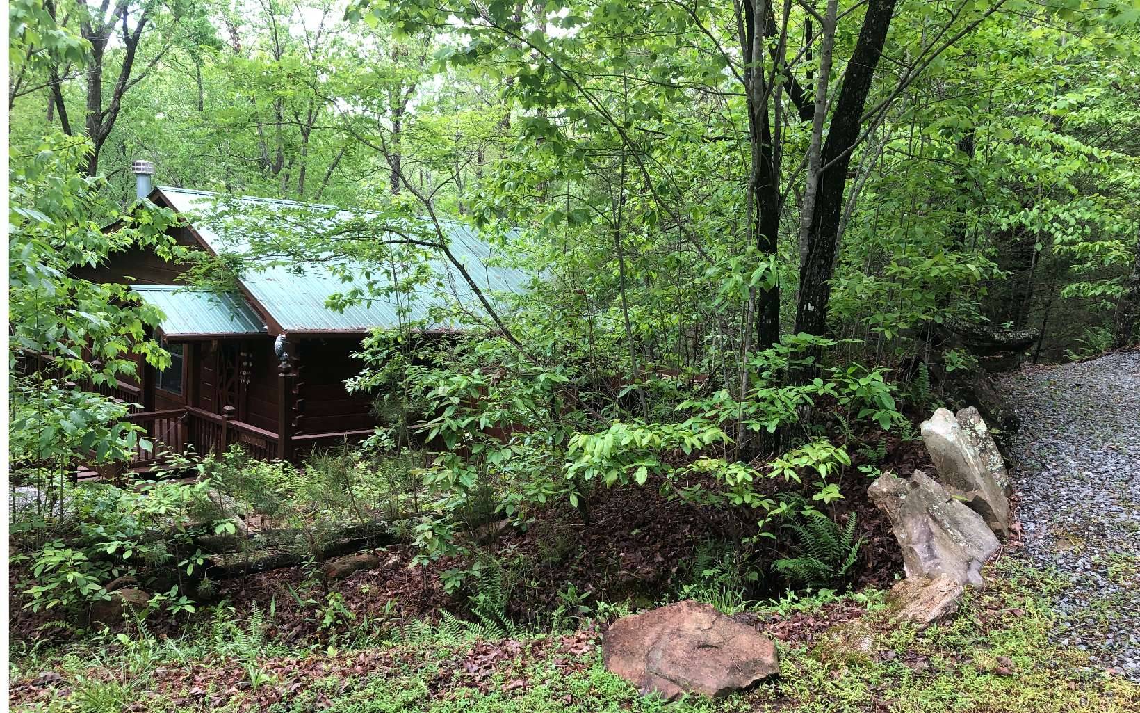 Cherry Log, GA 30522,488 Arrowhead Pass