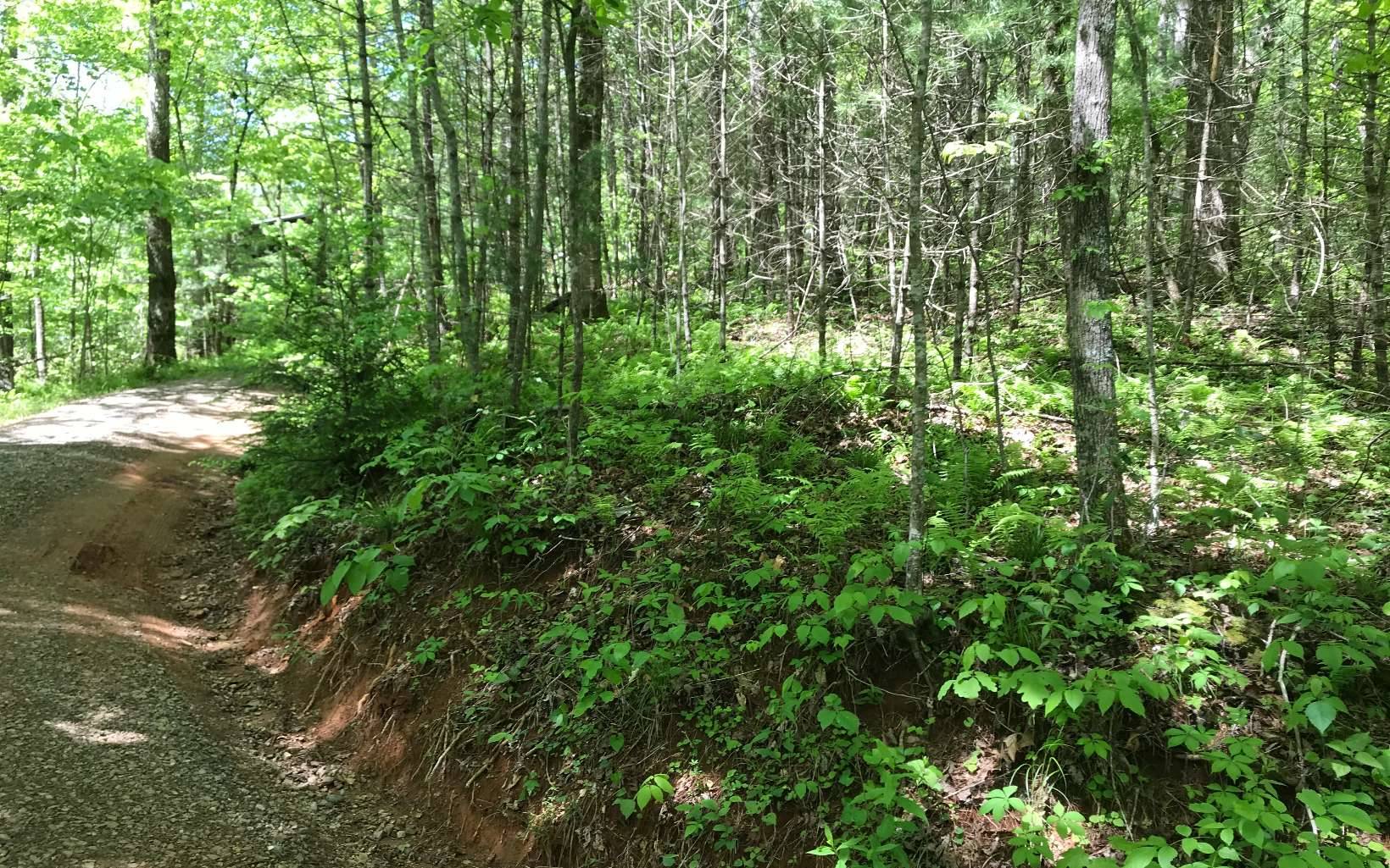 Suches, GA 30572,LOT14 Northside Mountain Road