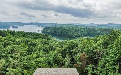 Ellijay, GA 30540,103 Carters Cove Road