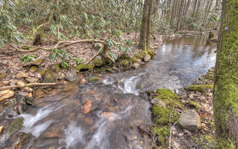 Cherry Log, GA 30522,2776 Stanley Creek Road