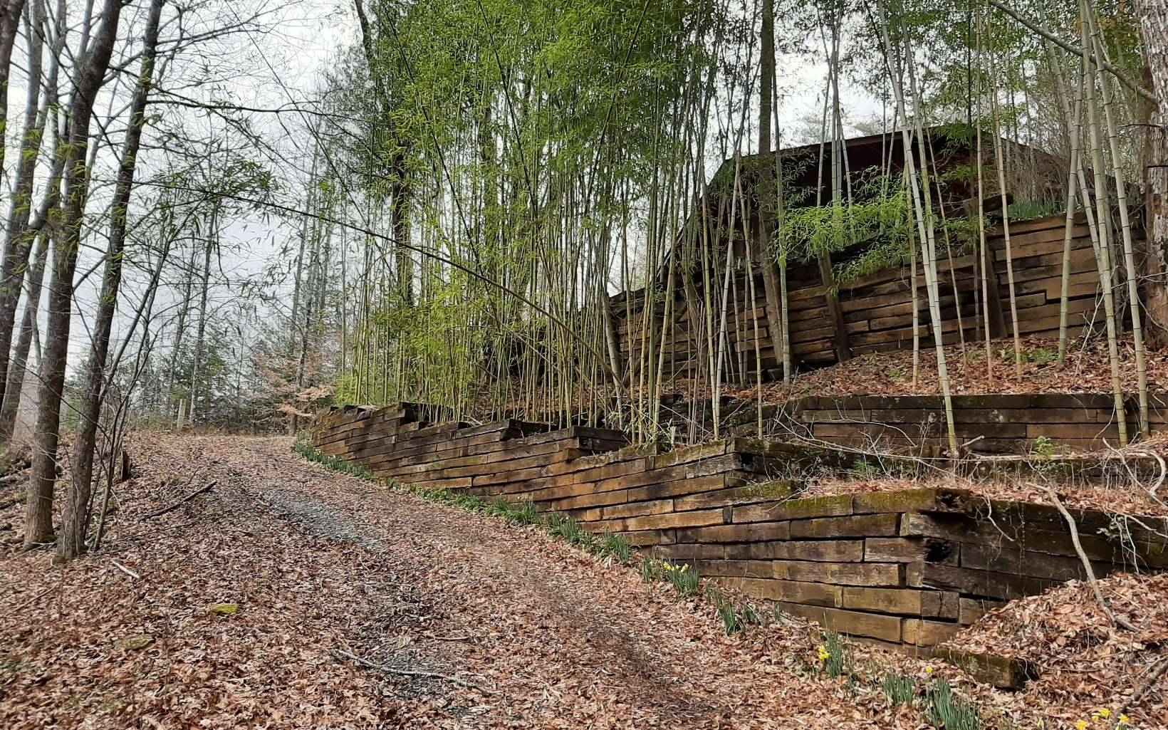 Cherry Log, GA 30522,2086 Stanley Creek