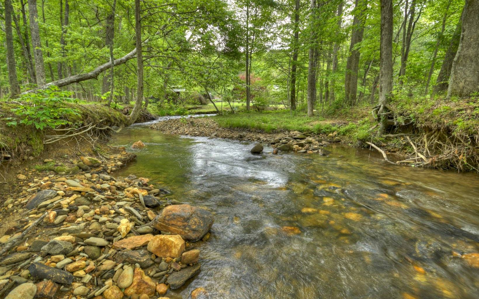 Cherry Log, GA 30522,380 Meadow Trail