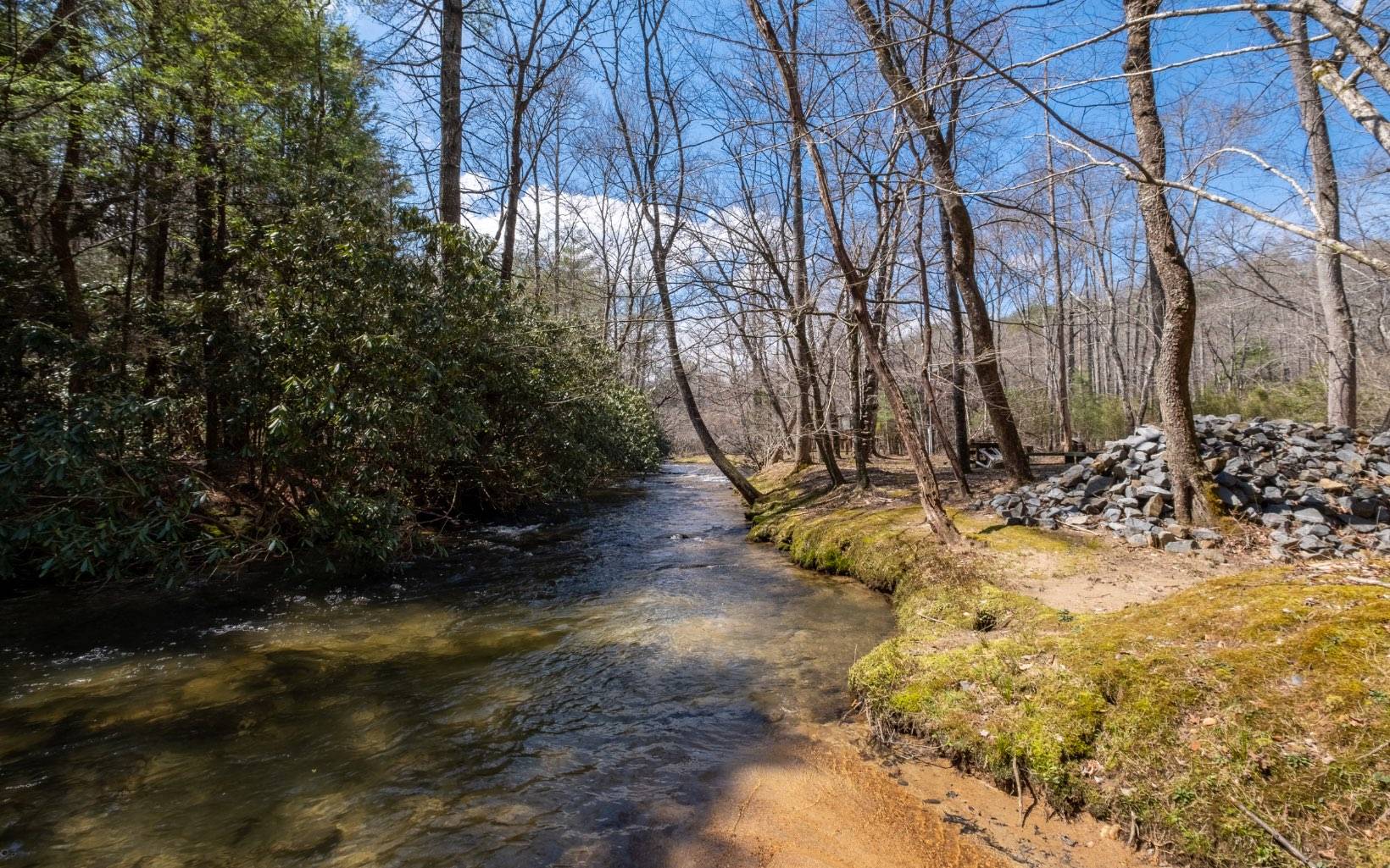 Cherry Log, GA 30522,1604 Cashes Valley Lane