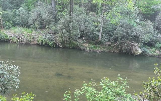 Suches, GA 30572,LOT 5 Rivers End Trail