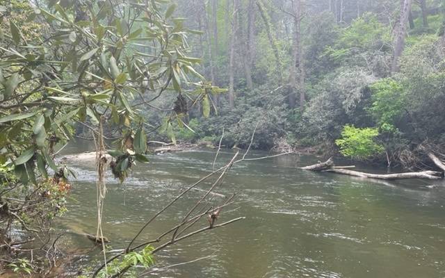 Suches, GA 30572,LOT 5 Rivers End Trail