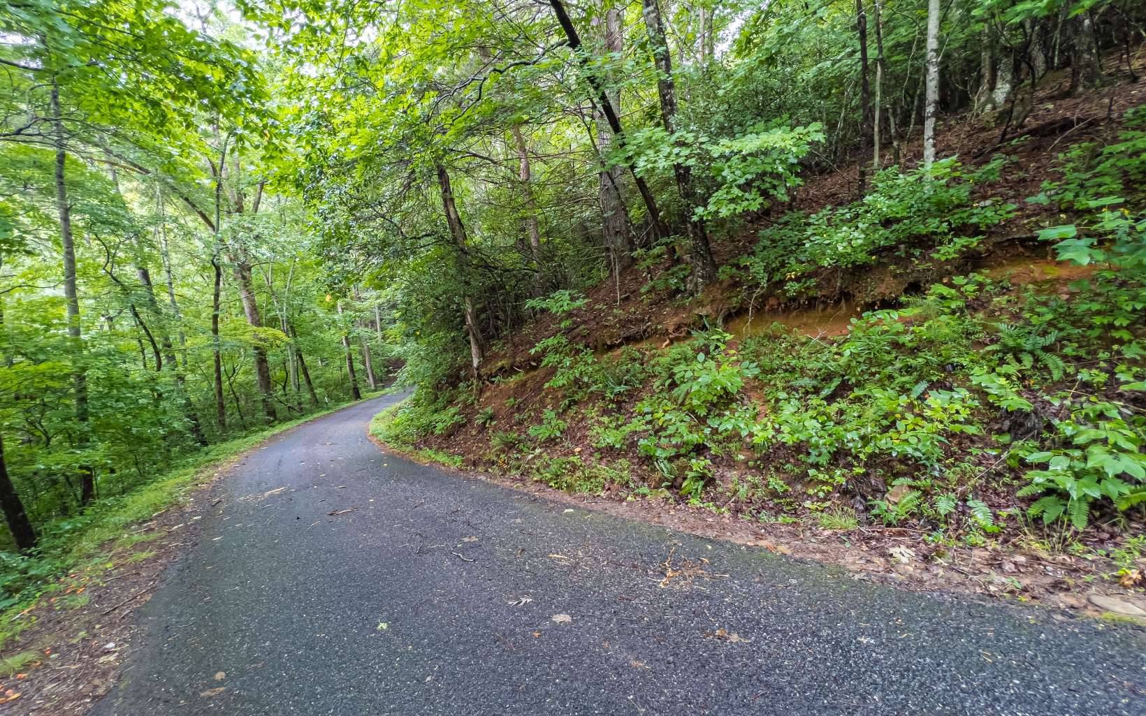 Hiawassee, GA 30546,LT4 White Oak Forest Road