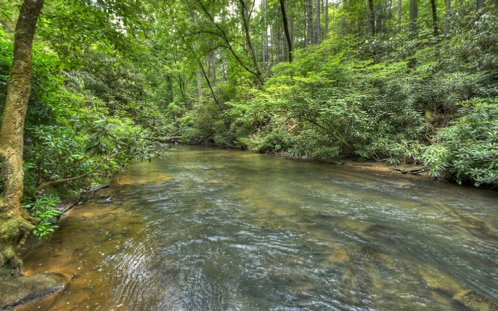 Cherry Log, GA 30522,328 River Road