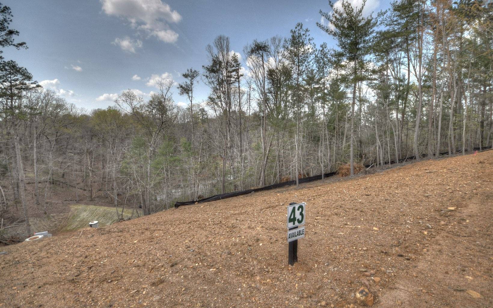 Ellijay, GA 30540,LT43 Summit View Drive