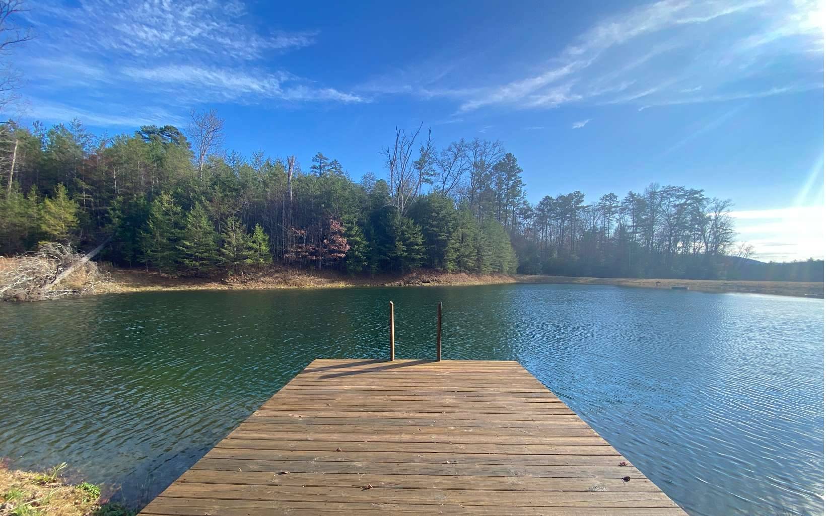 Morganton, GA 30560,LOT 7 Dial Lakes Drive