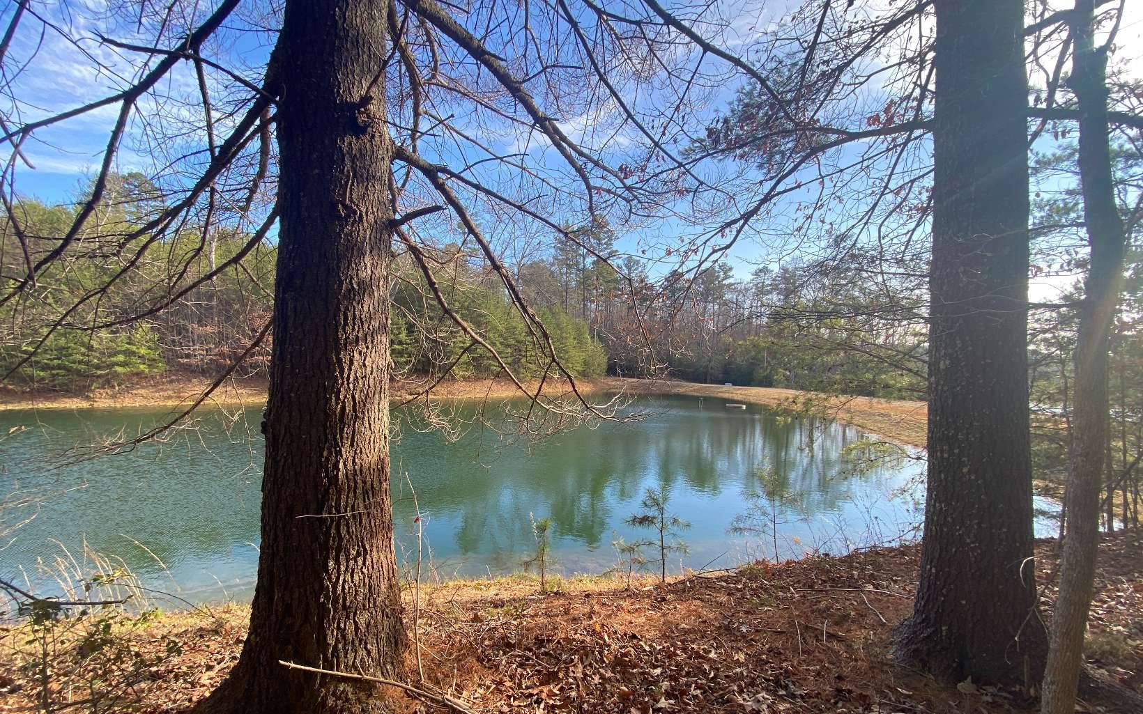 Morganton, GA 30560,LOT 7 Dial Lakes Drive