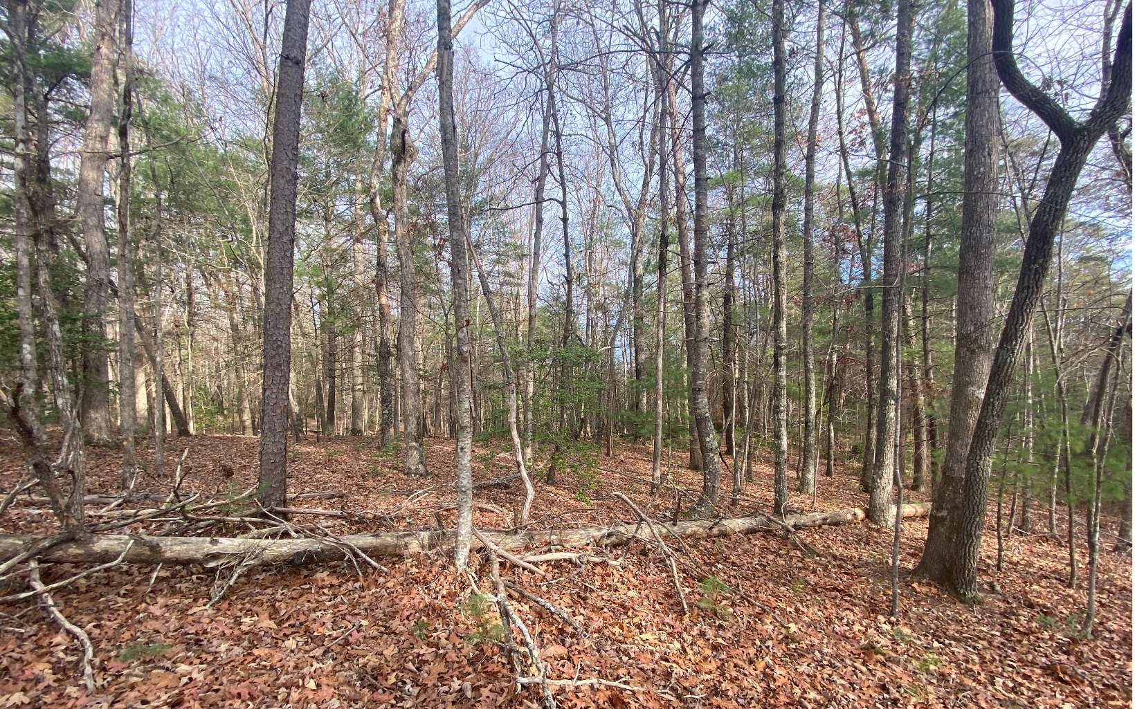 Morganton, GA 30560,LOT 7 Dial Lakes Drive