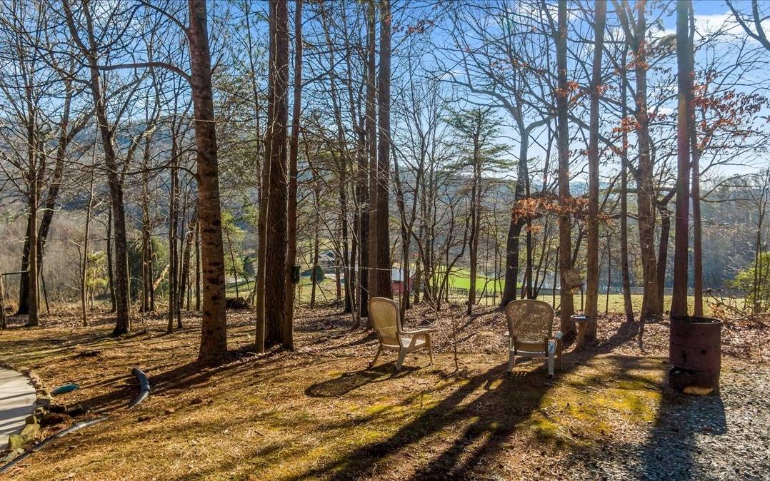 Ellijay, GA 30536,492 Black Bear Ridge Road