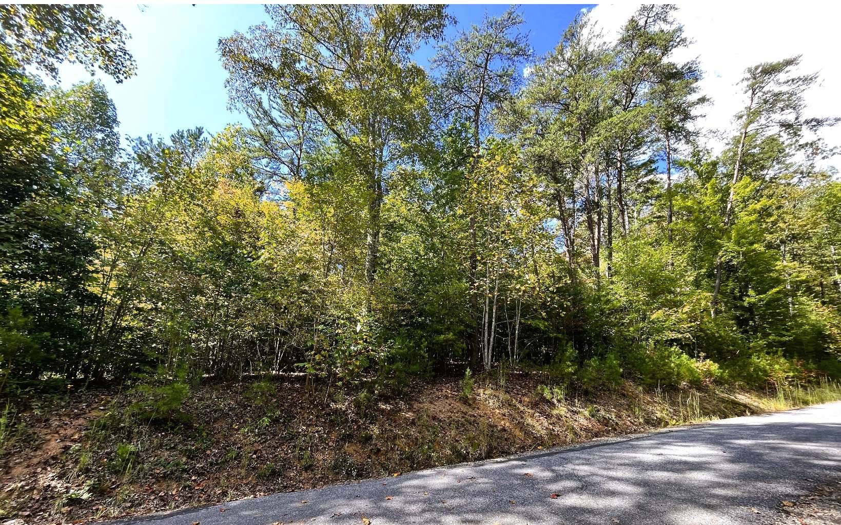 Hayesville, NC 28904,00 Lost River Trail