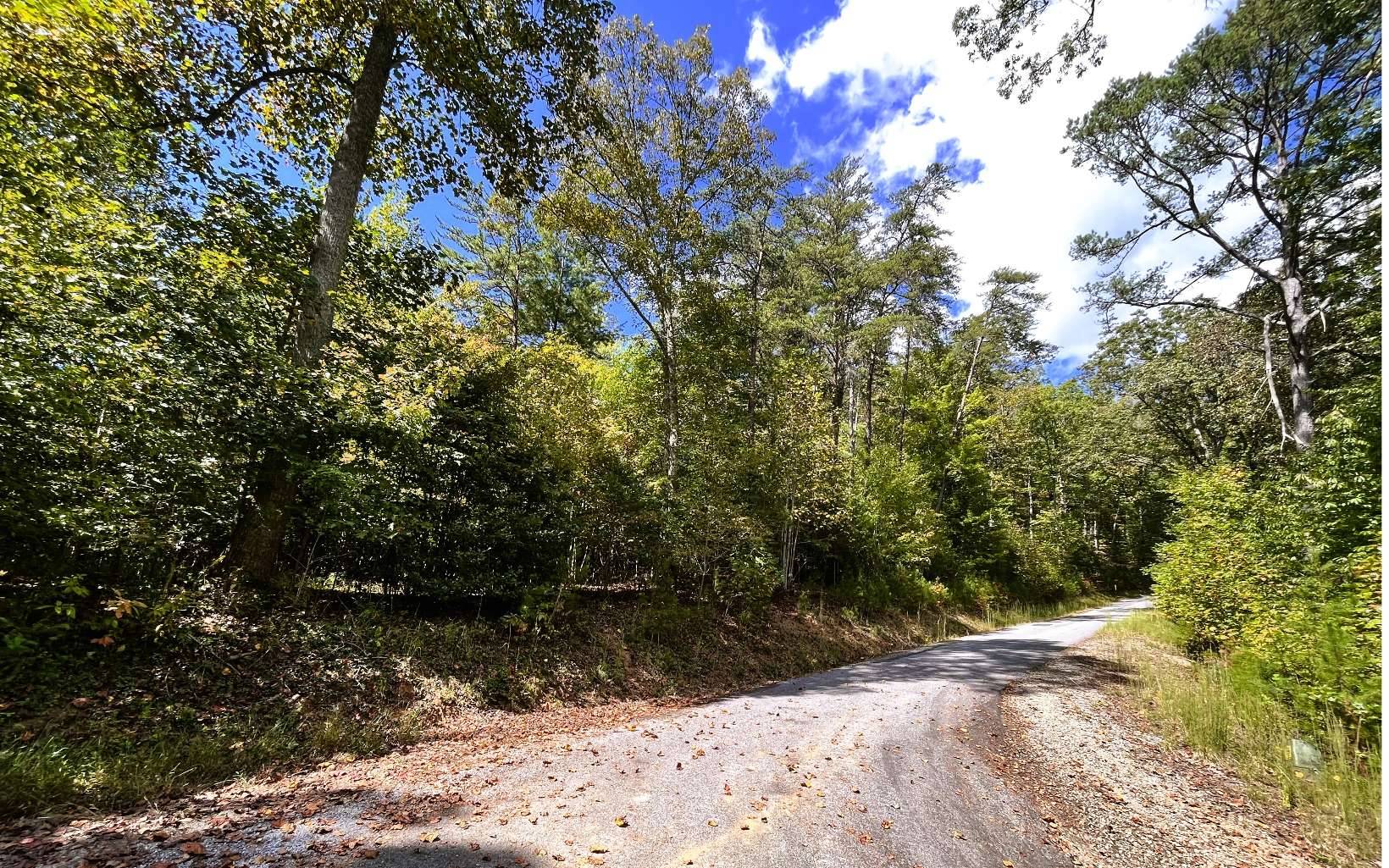 Hayesville, NC 28904,00 Lost River Trail