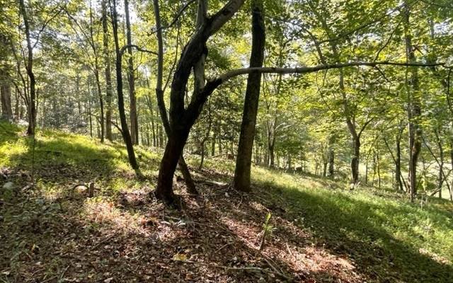 Ellijay, GA 30536,LOT 7 Clear Creek Preserve Way