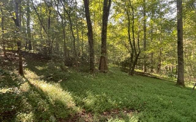 Ellijay, GA 30536,LOT 7 Clear Creek Preserve Way