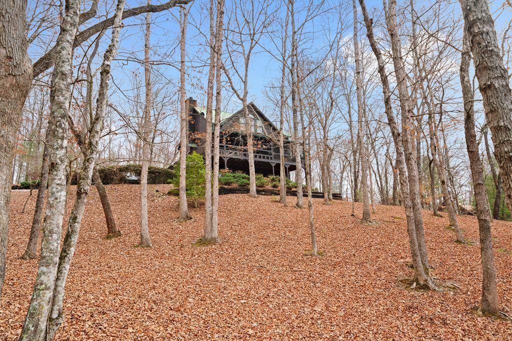 Mineral Bluff, GA 30559,93 Kaely Drive