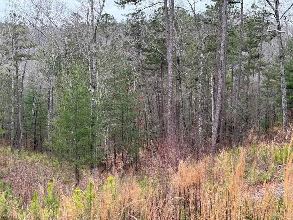 Ellijay, GA 30541,Lot 137 Sundown Trail