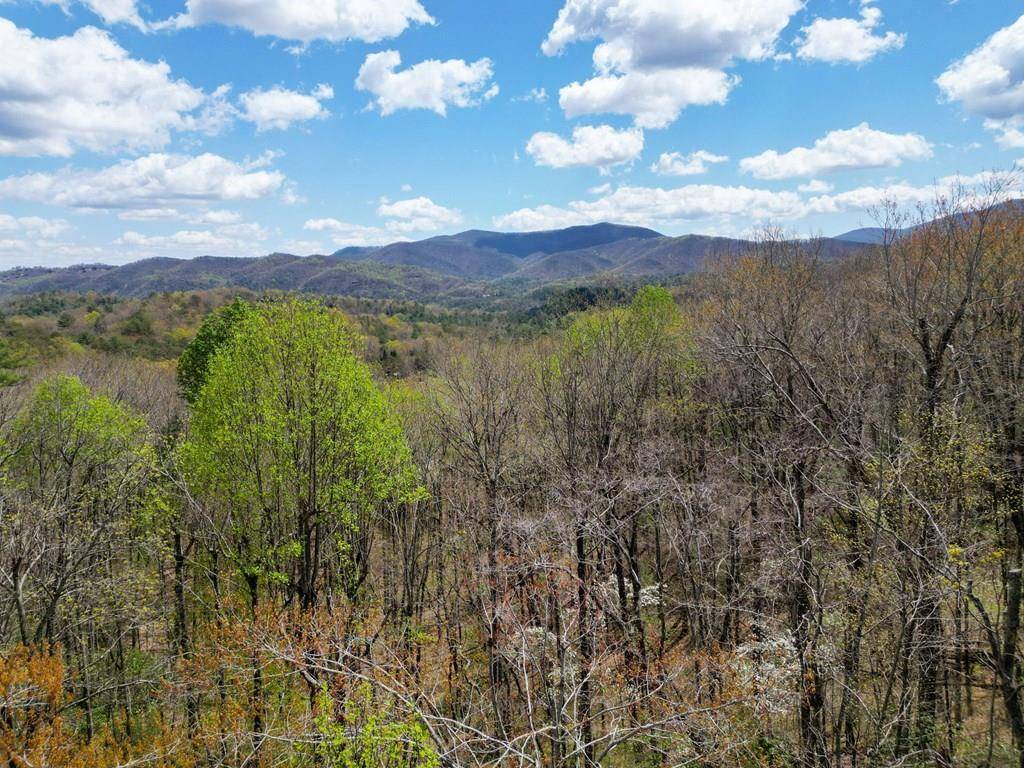 Blue Ridge, GA 30513,1307 CHERRY LAKE DR