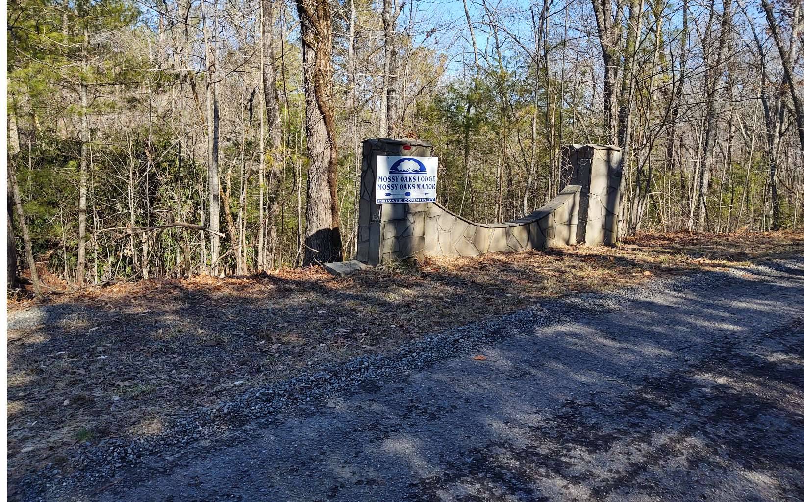 Hiawassee, GA 30546,LOT 1 Mossy Oaks Lane