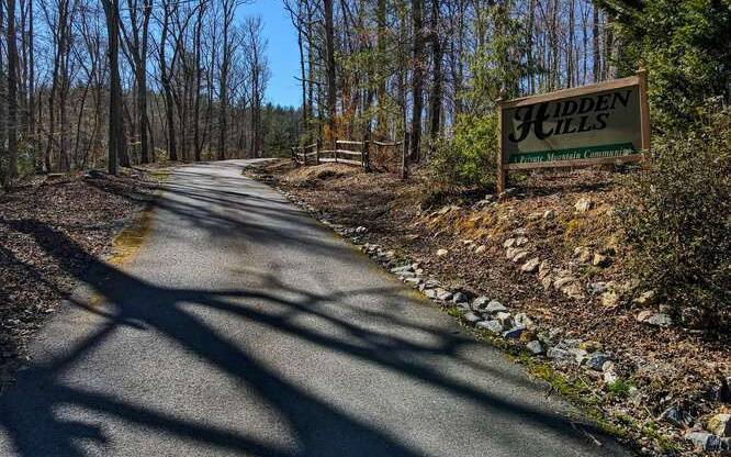 Morganton, GA 30560,LOT10 Hidden Hills