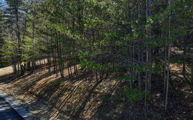 Morganton, GA 30560,LOT10 Hidden Hills