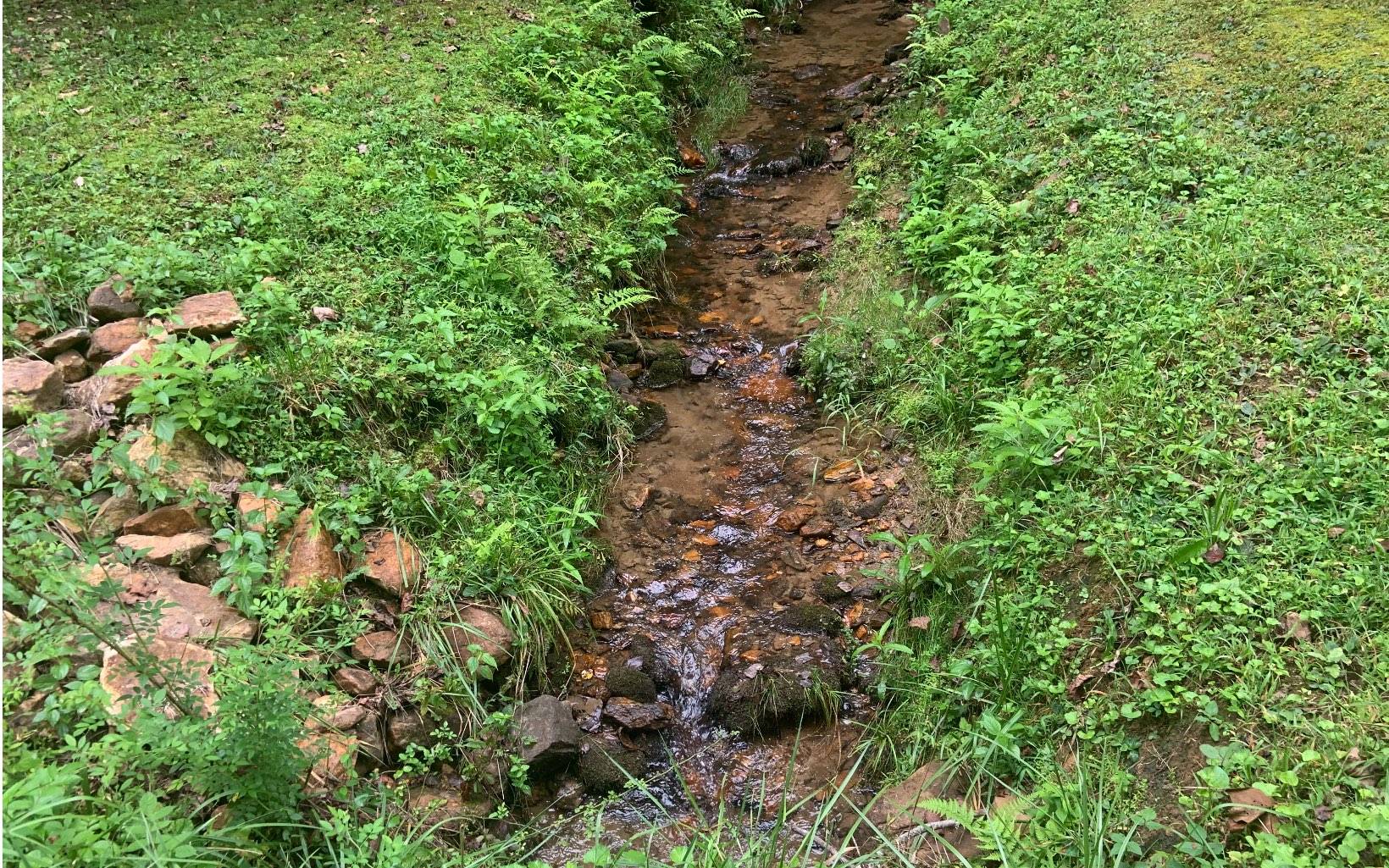 Blue Ridge, GA 30513,LT219 Chestnut Gap Lane