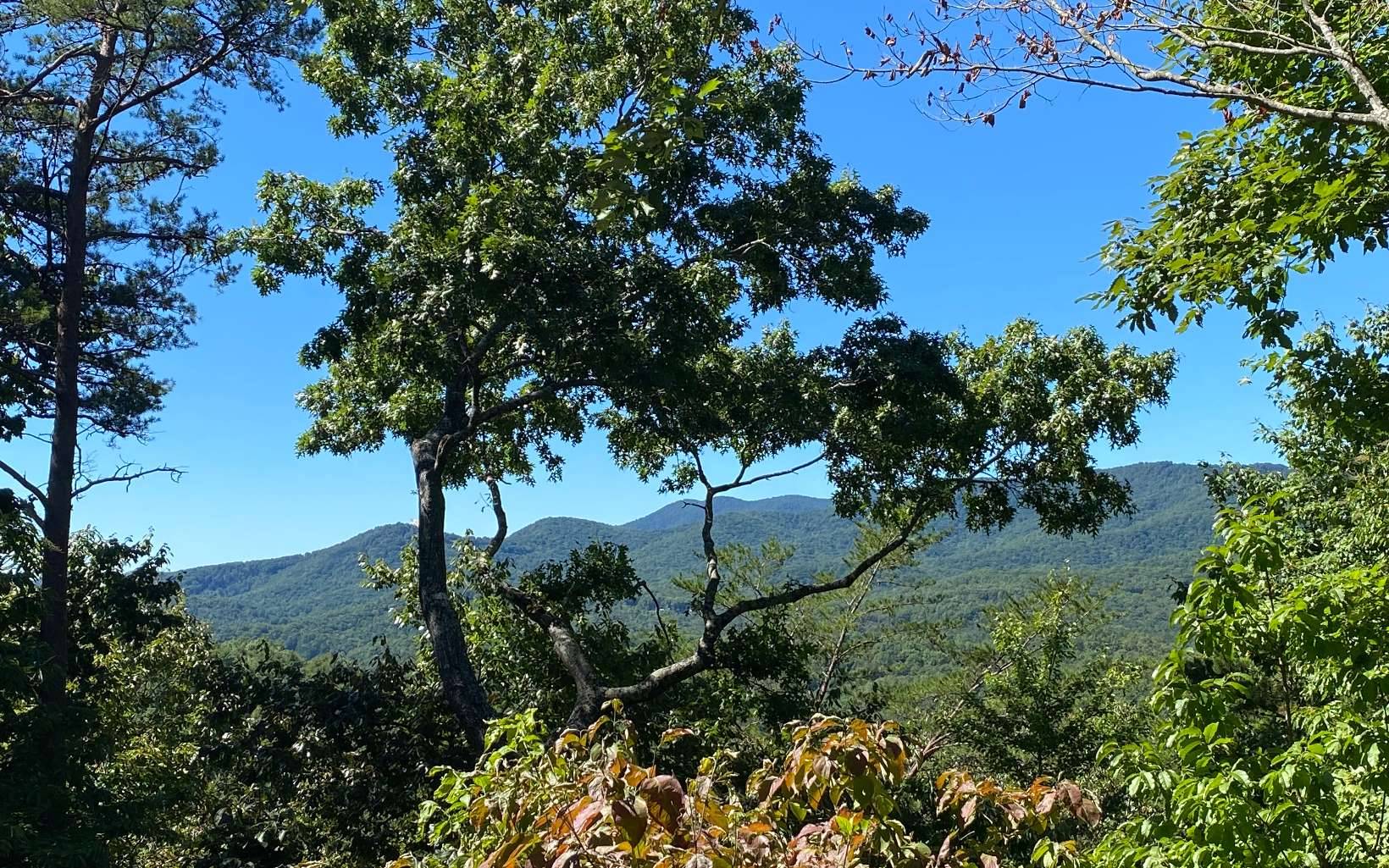 Cherry Log, GA 30522,498 Cohutta Mountain Road