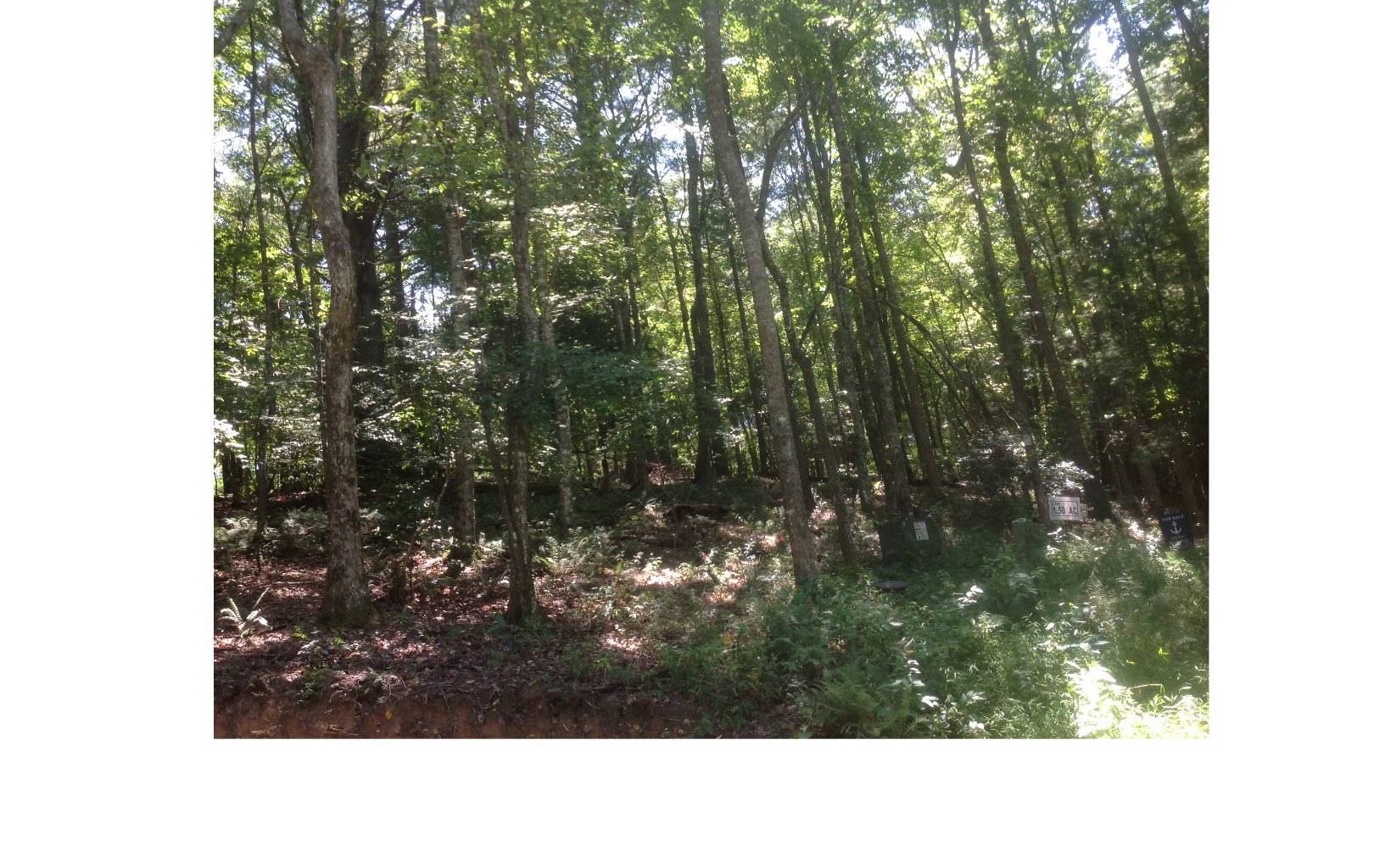 Morganton, GA 30560,LOT 1 Winding Brook