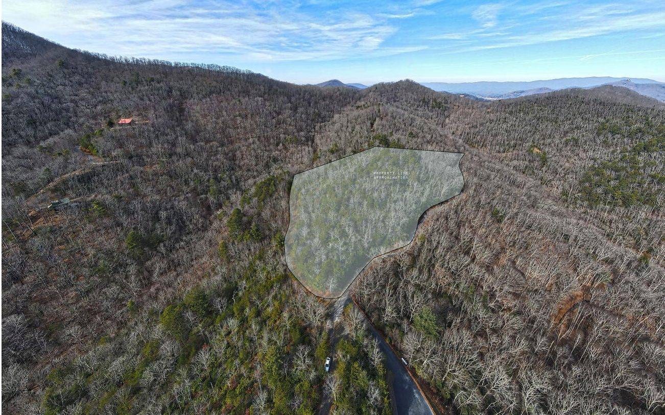 Hiawassee, GA 30546,10 AC Caesar Gap Road