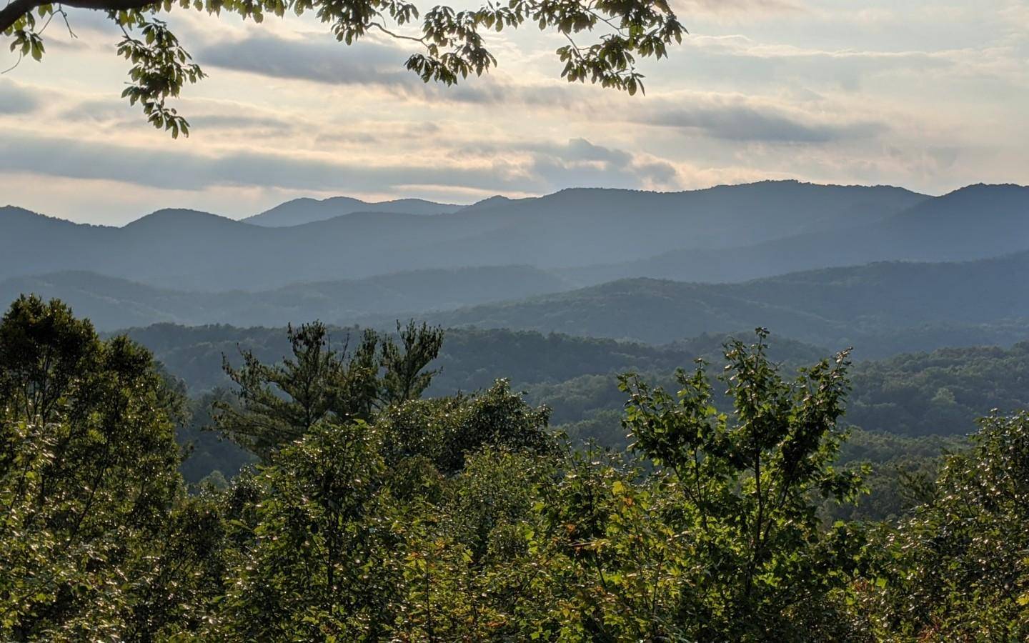 Cherry Log, GA 30522,536 Cohutta Mountain Road