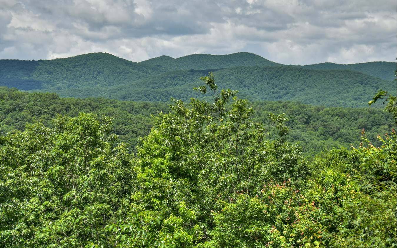 Cherry Log, GA 30522,616 Bushy Head Road