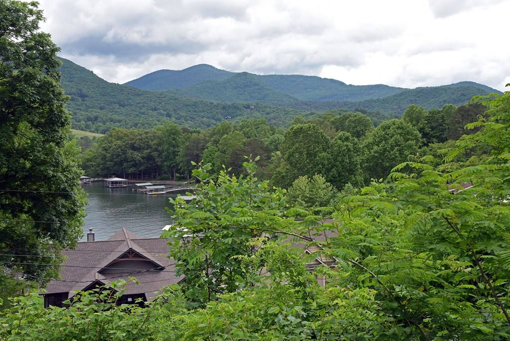 Hiawassee, GA 30546,546 Beech Cove Drive