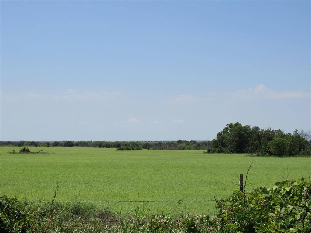 Carbon, TX 76435,TBD Co Rd 295