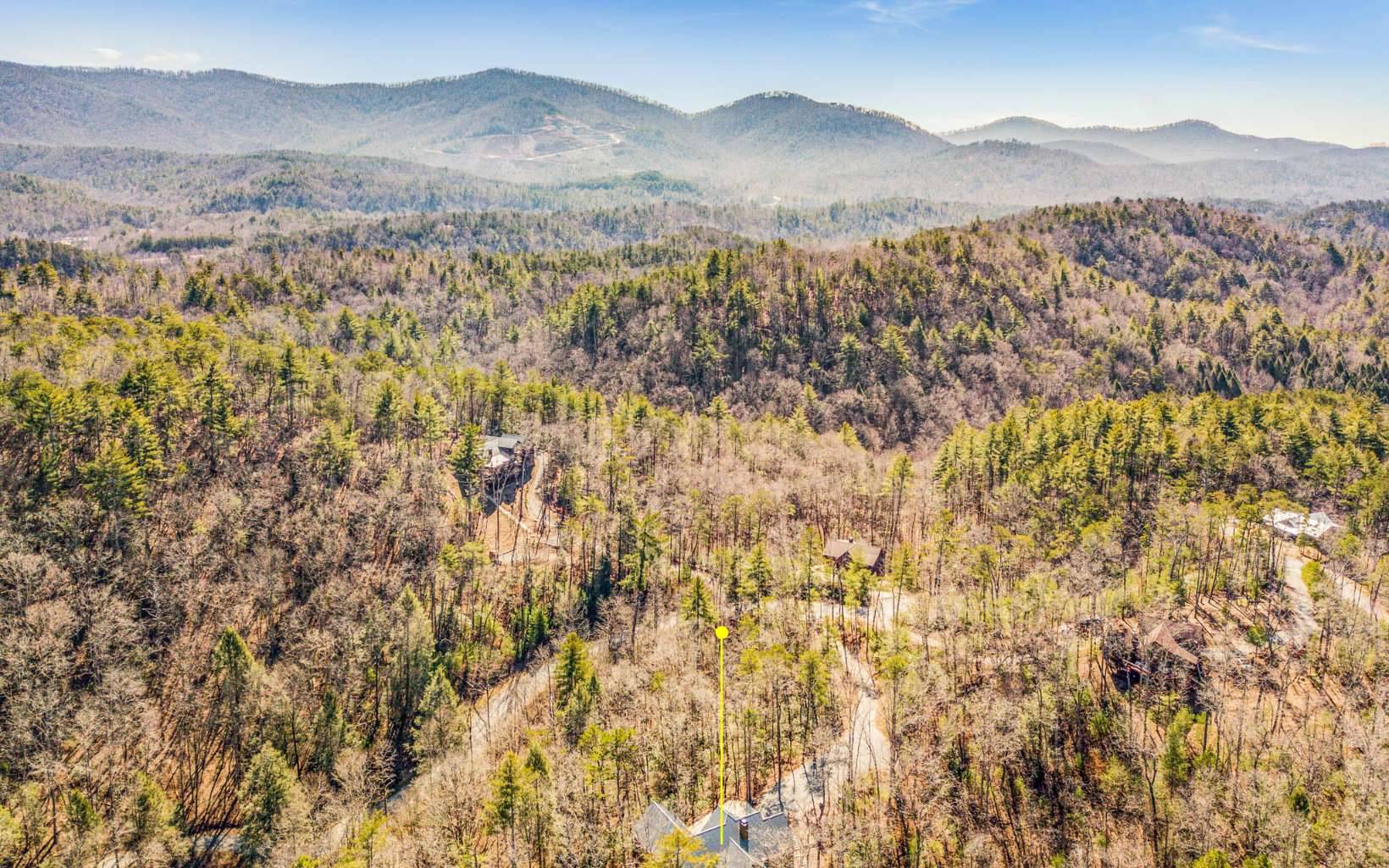 Ellijay, GA 30540,290 River Escape Drive