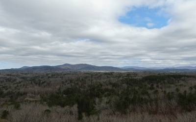 Ellijay, GA 30540,LOT 5 Hunter Ridge