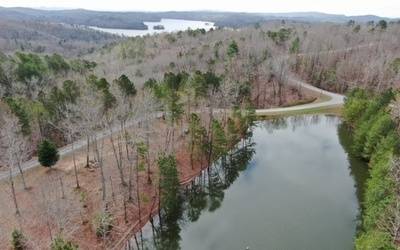 Ellijay, GA 30540,LOT 5 Hunter Ridge