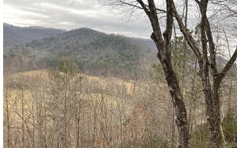 Hiawassee, GA 30546,2288 Layson Road