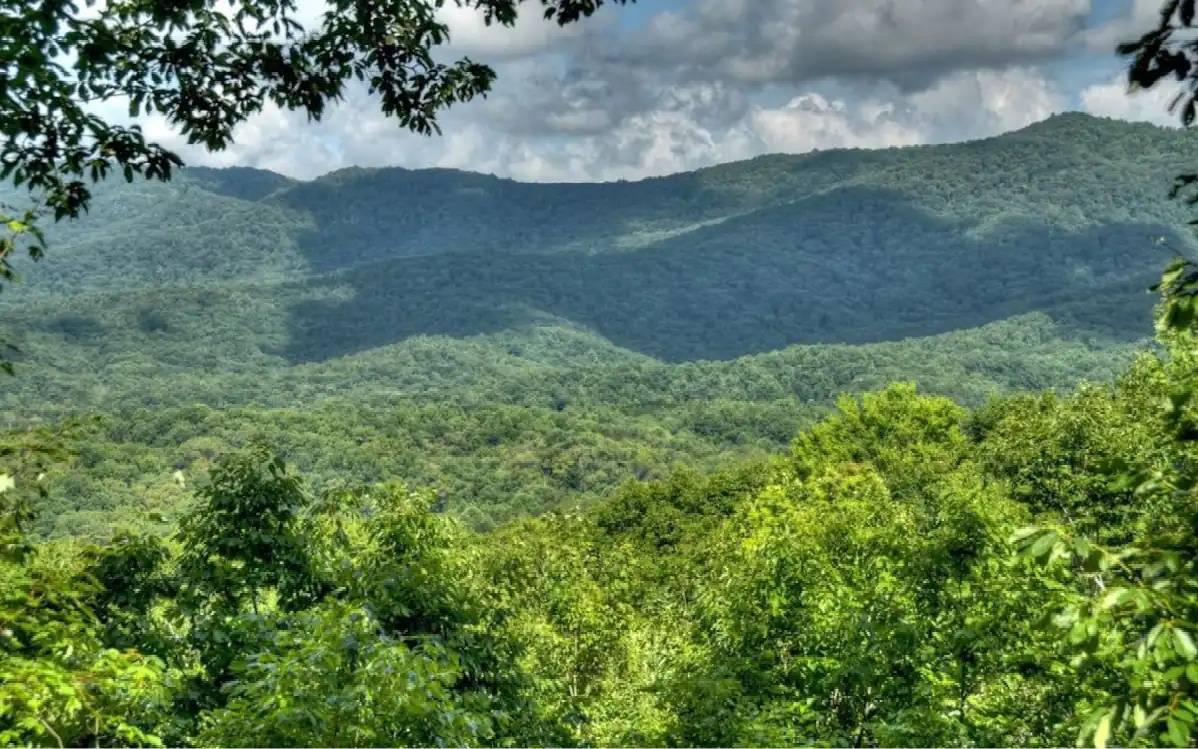 Blue Ridge, GA 30513,404 Cohutta Mountain Road