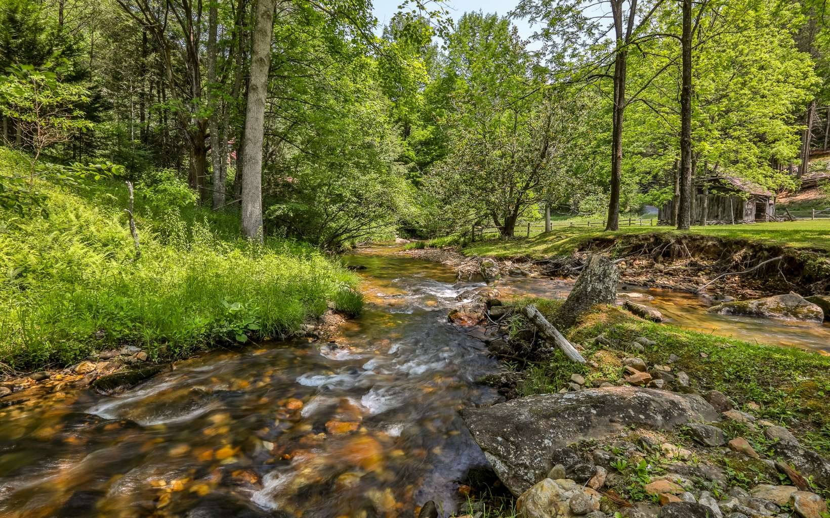 Cherry Log, GA 30522,13111 Big Creek Road