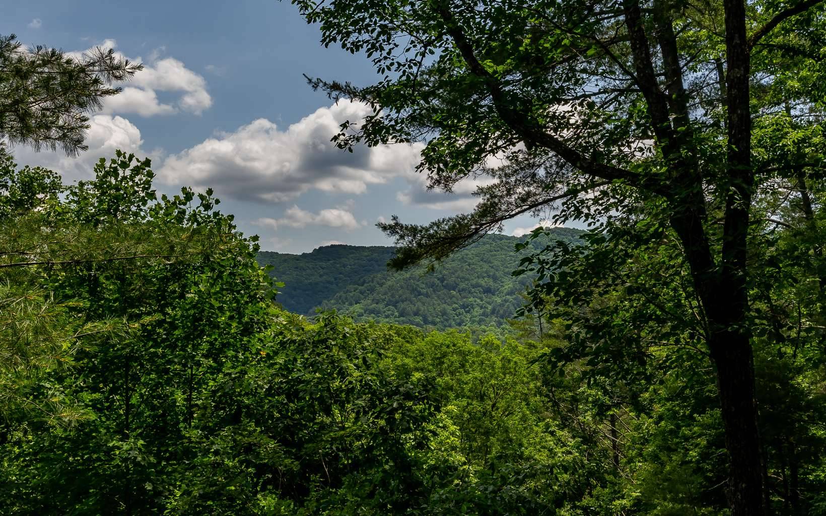 Cherry Log, GA 30522,95 Rocky Road