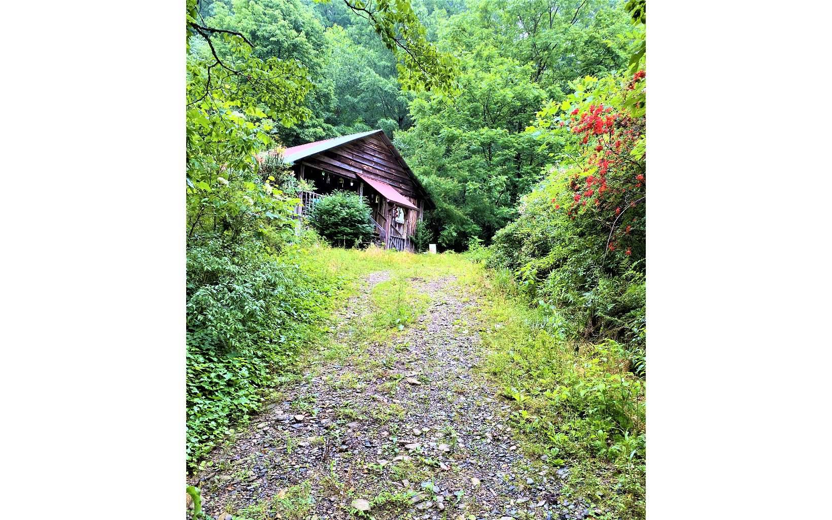 Ellijay, GA 30540,4770 Brushy Top Drive