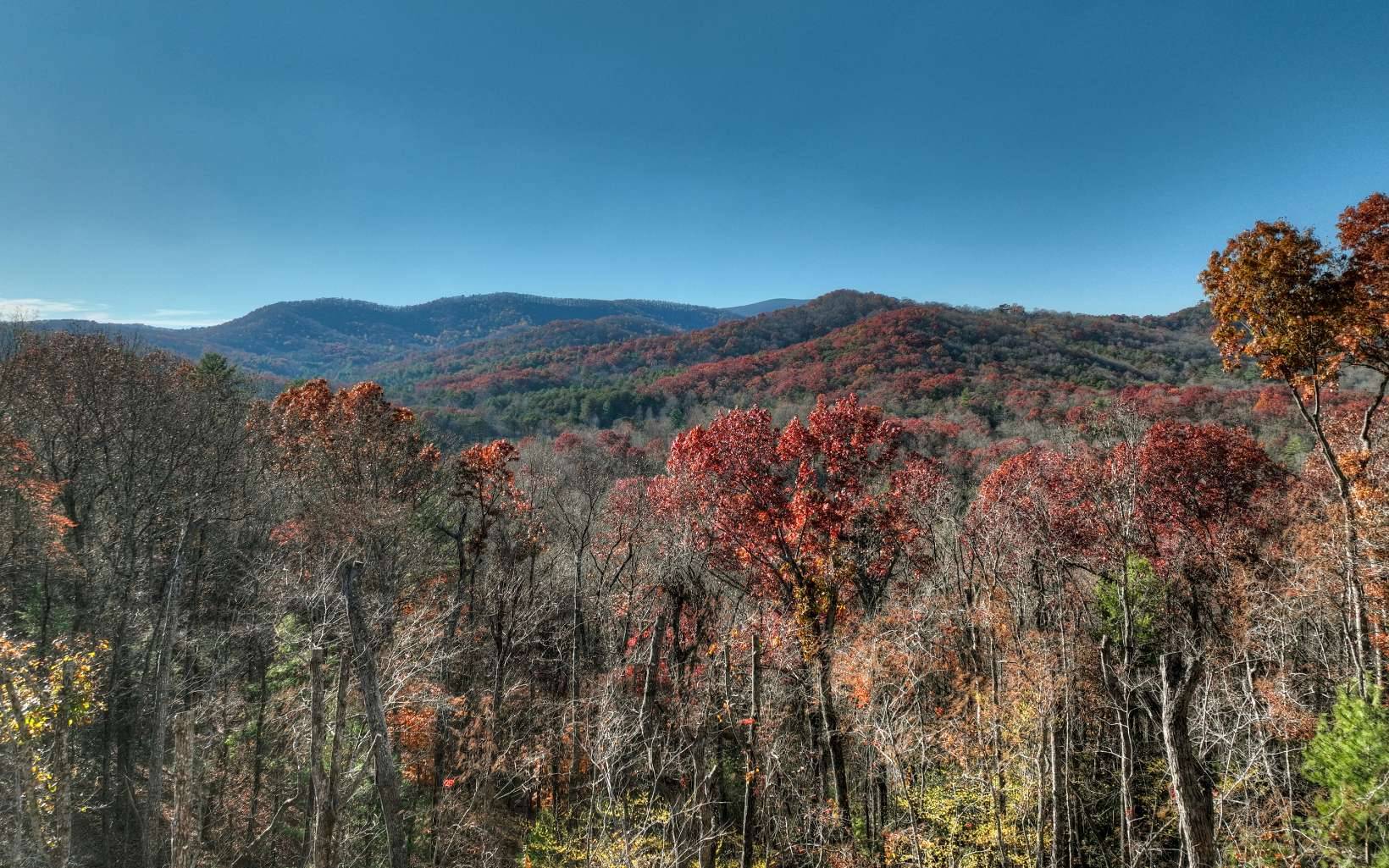 Cherry Log, GA 30522,11 Valley Overlook Drive