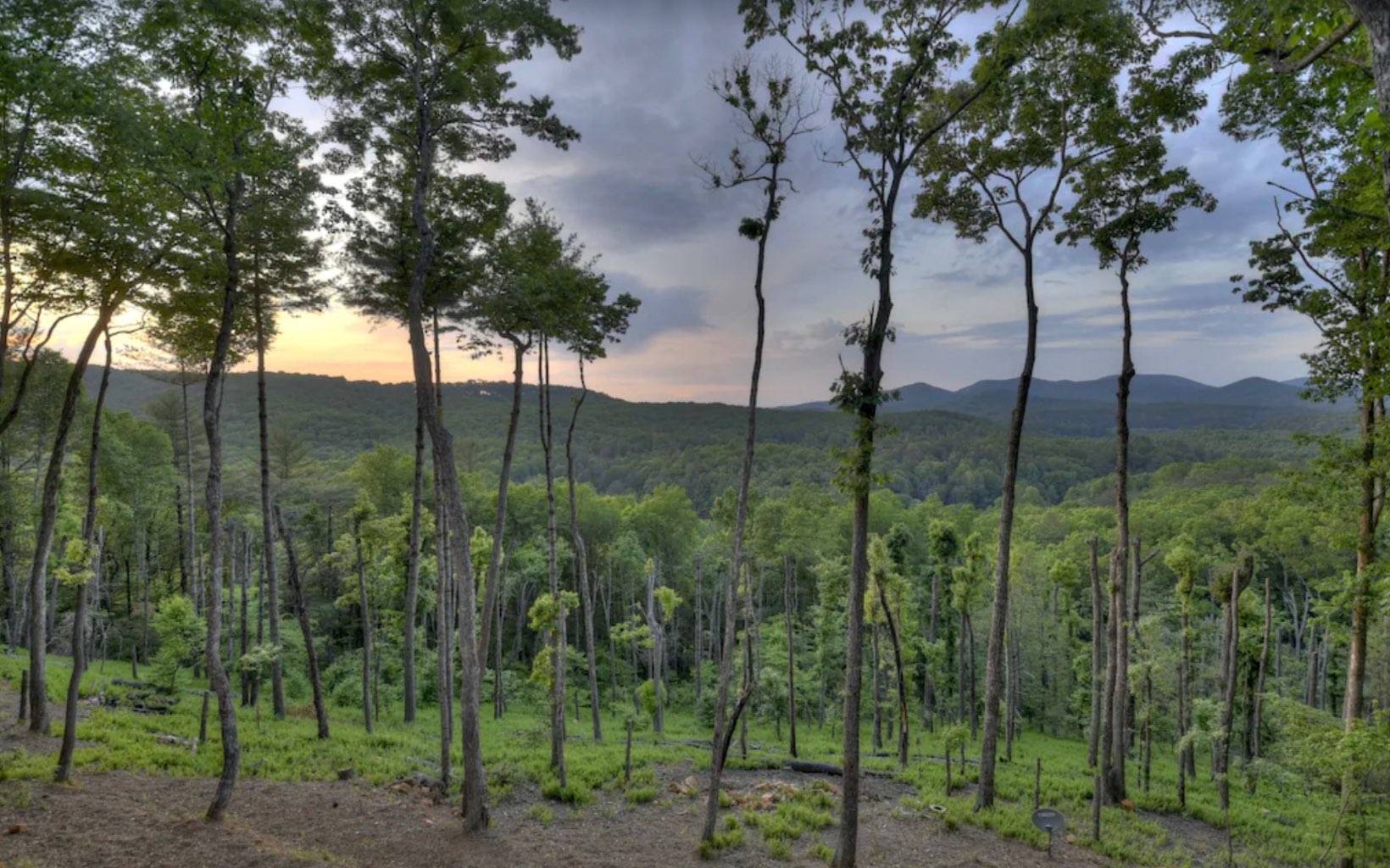 Cherry Log, GA 30522,155 Valley Overlook Drive