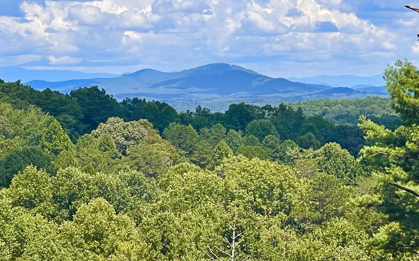 Blue Ridge, GA 30513,114 Price Circle