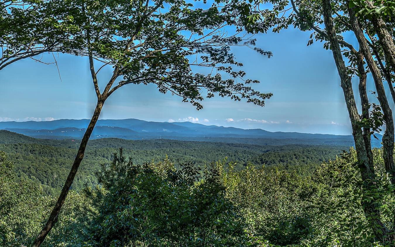 Ellijay, GA 30540,800 Chief Whitetails Road