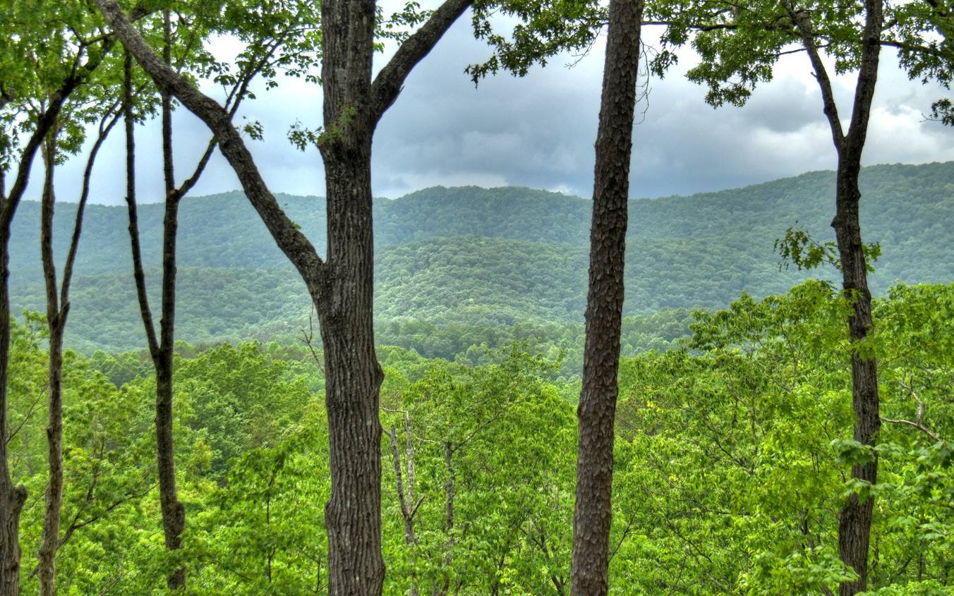 Cherry Log, GA 30522,58 Haley Drive